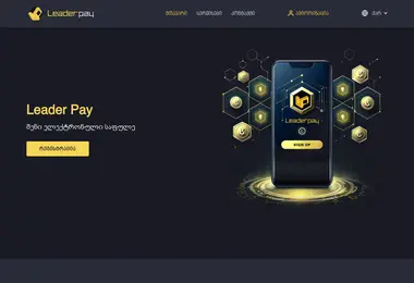 Screenshot of leaderpay.ge