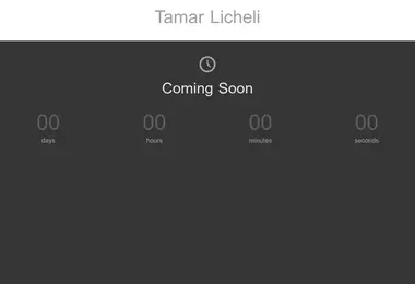 Screenshot of licheli.ge