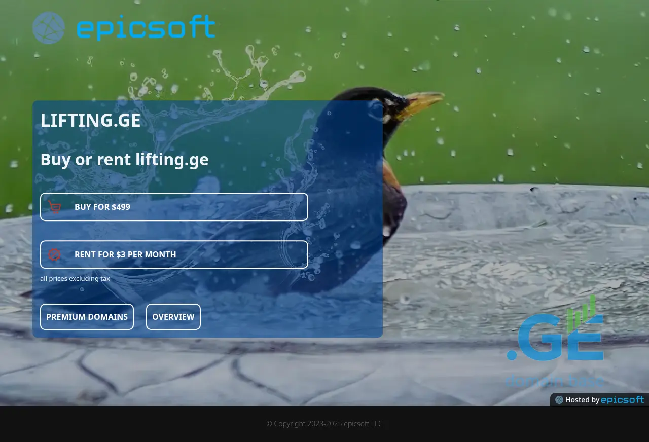 Screenshot of the site lifting.ge