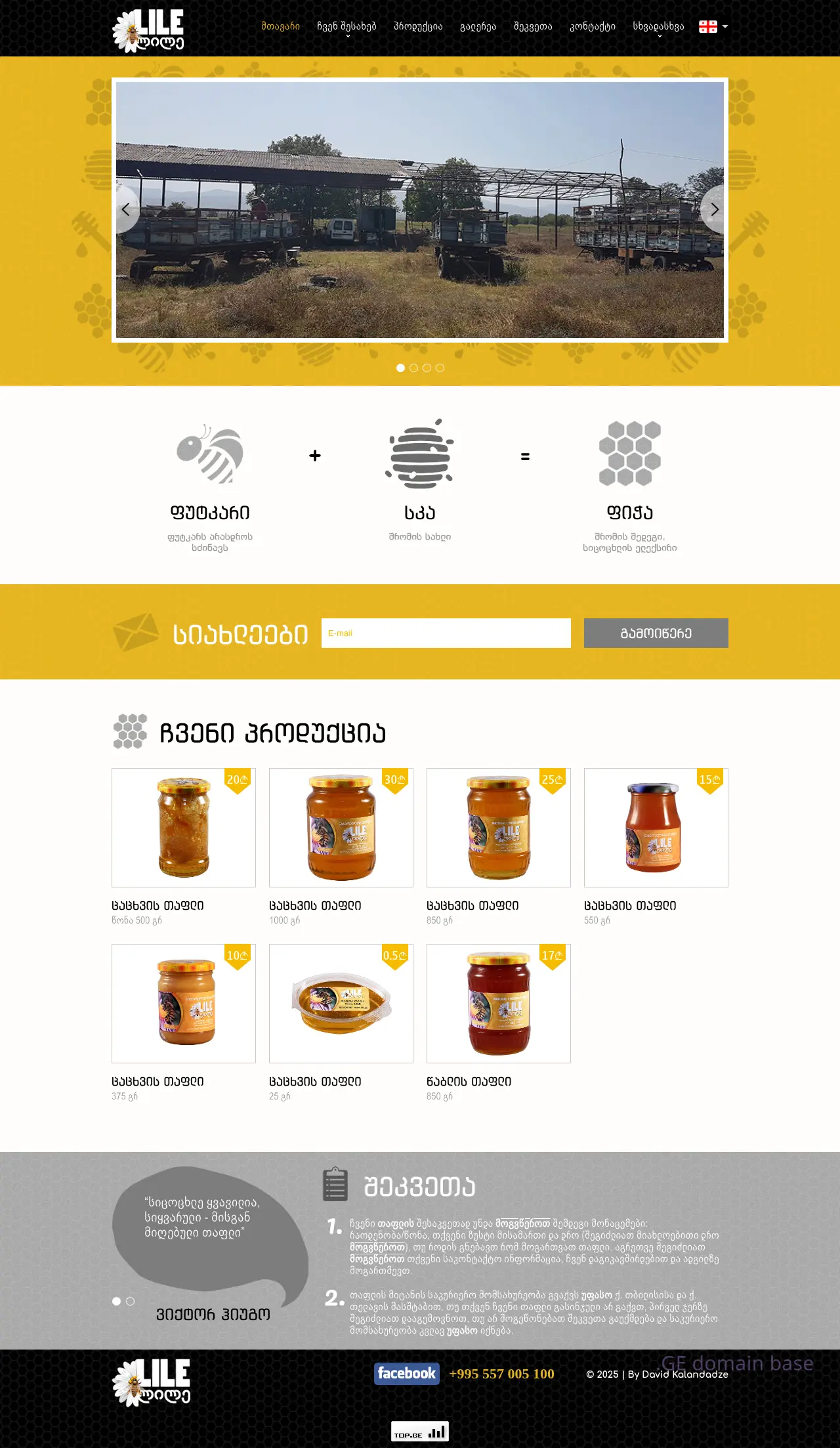 Screenshot of the site lile.ge