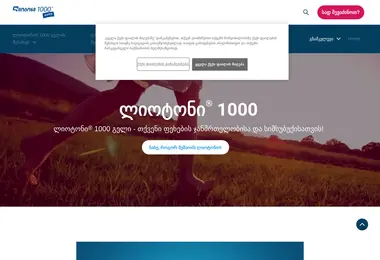Screenshot of lioton.ge
