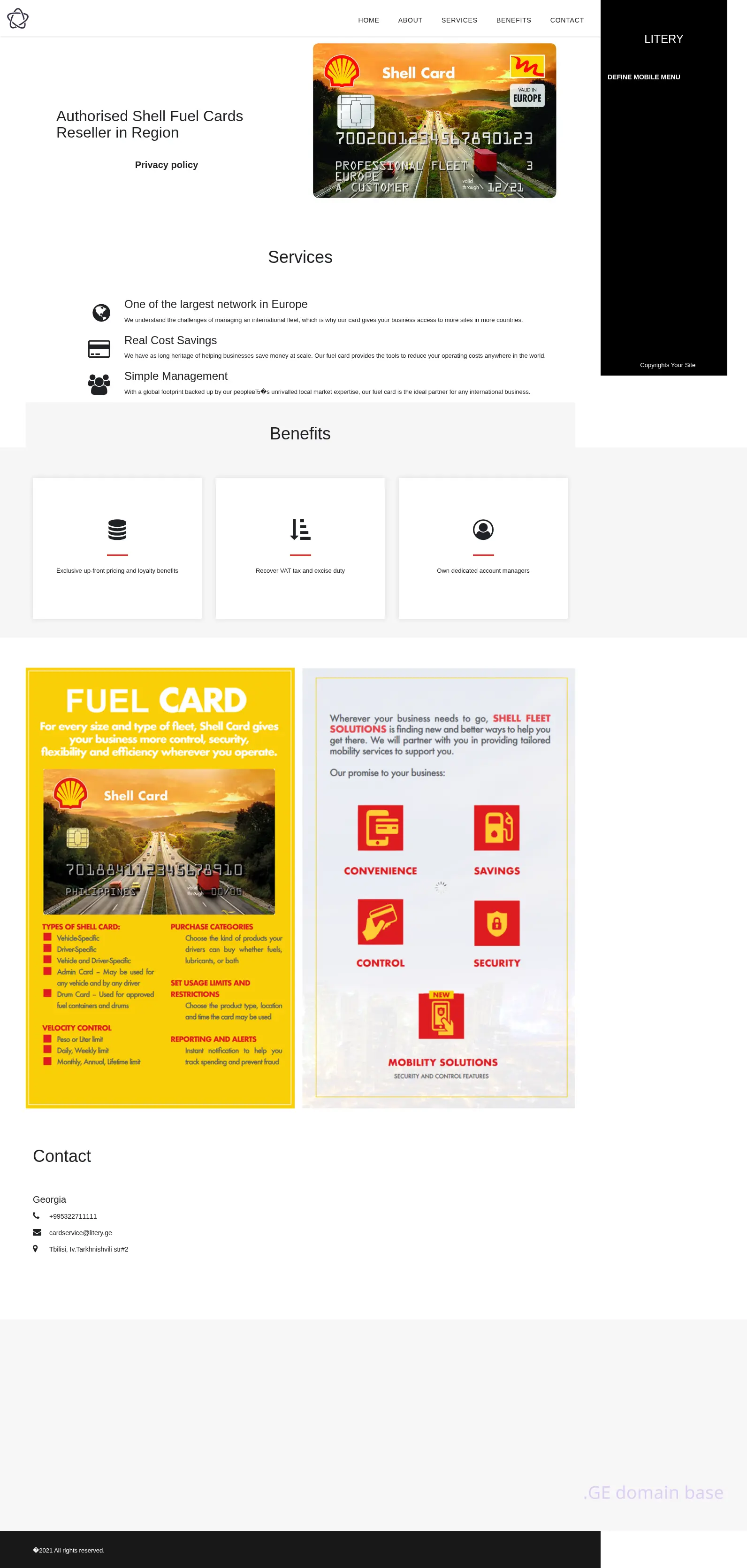 Screenshot of the site litery.ge