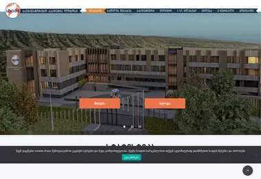 Screenshot of logos.edu.ge