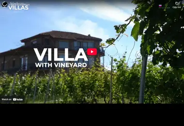 Screenshot of luxuryvillas.ge
