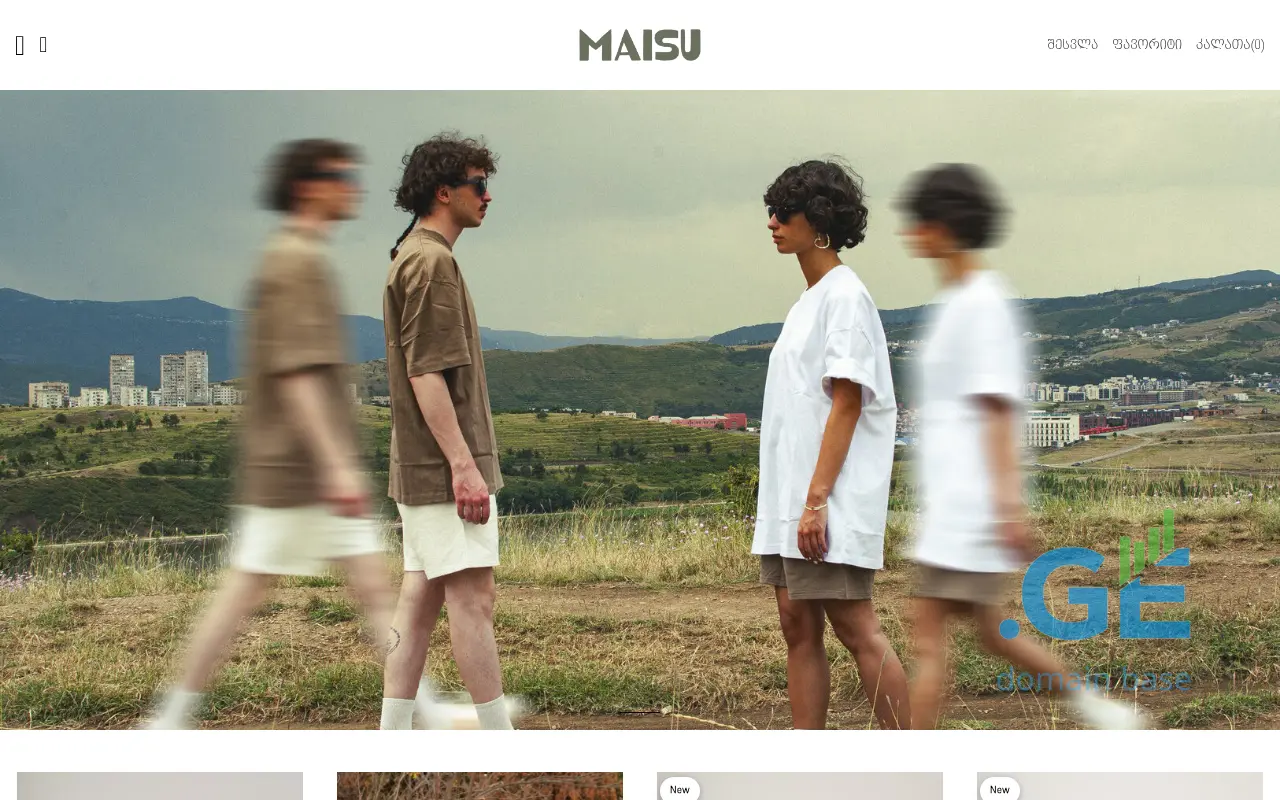 Screenshot of the site maisu.ge