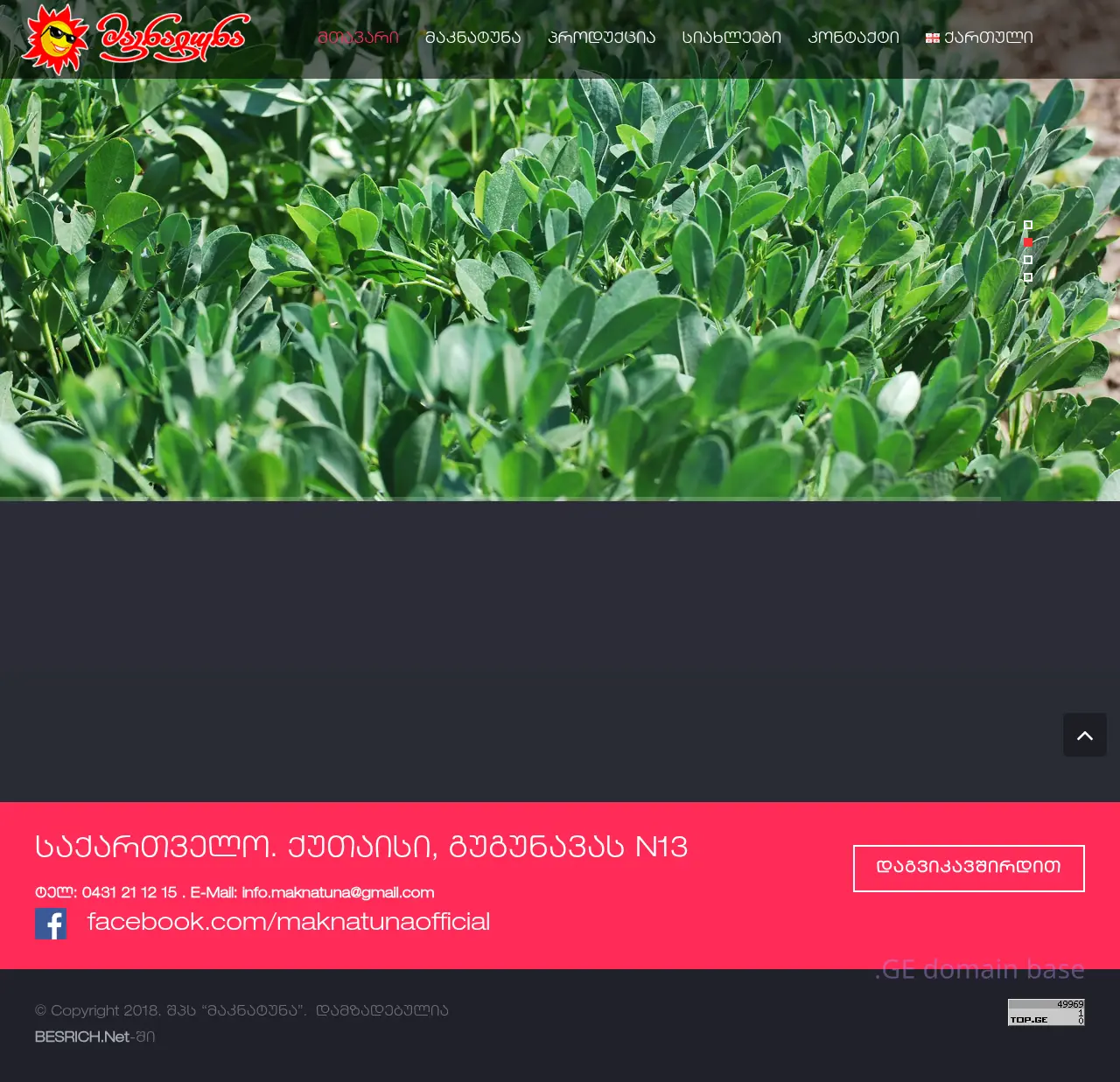 Screenshot of the site maknatuna.ge