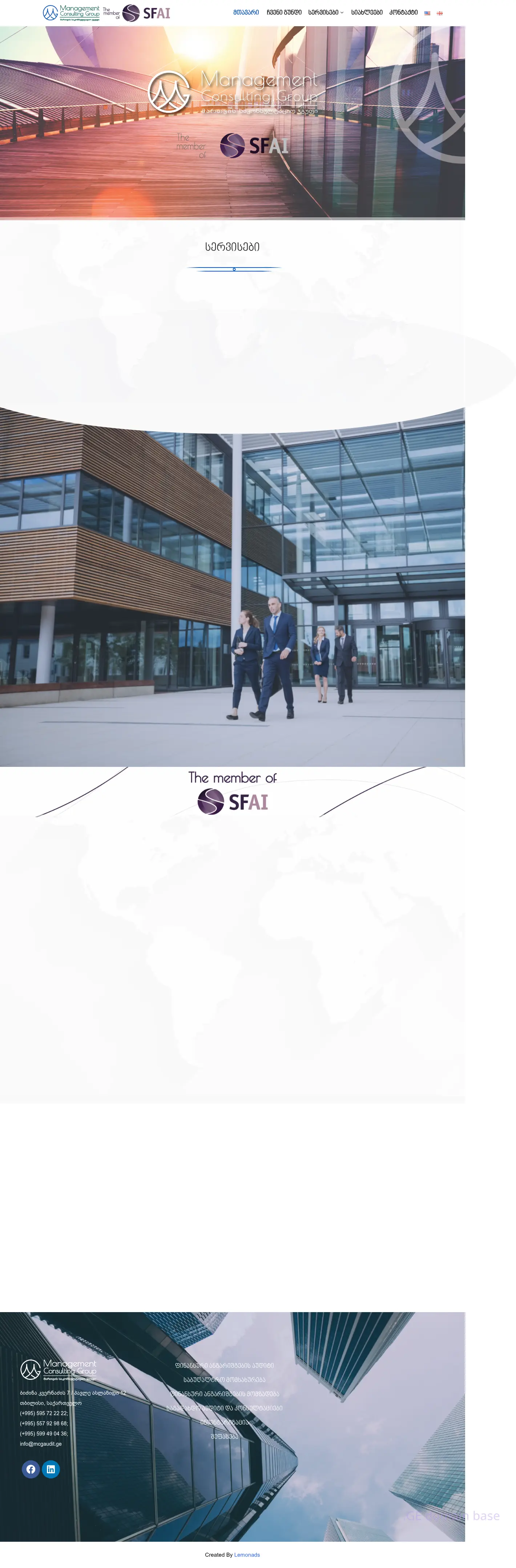 Screenshot of the site mcgaudit.ge