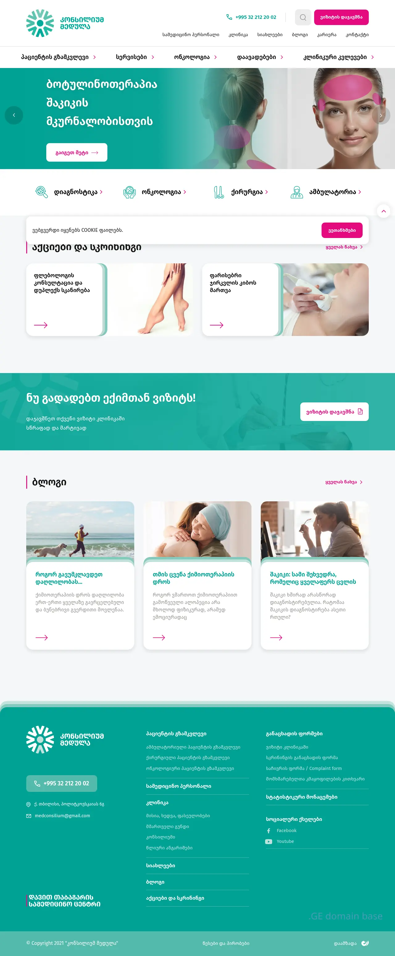 Screenshot of the site medulla.ge