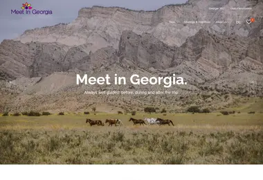 Screenshot of meetingeorgia.ge
