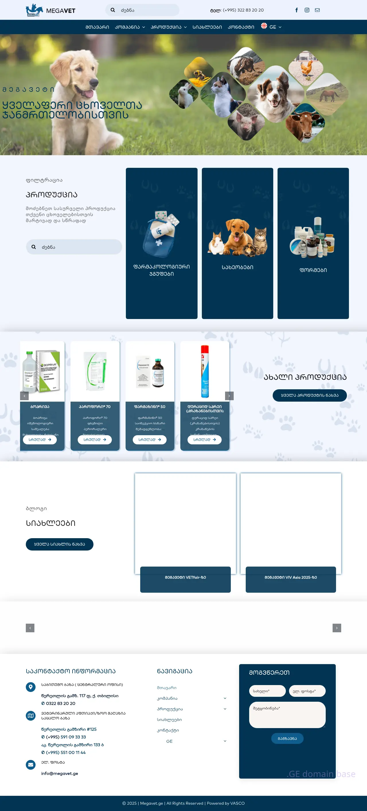 Screenshot of the site megavet.ge