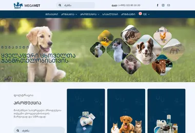 Screenshot of megavet.ge