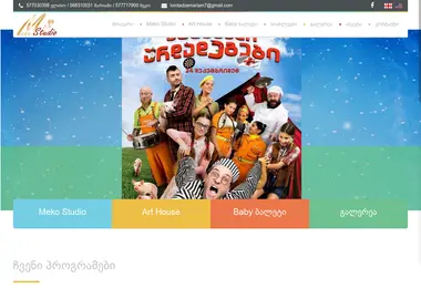 Screenshot of mekostudio.ge