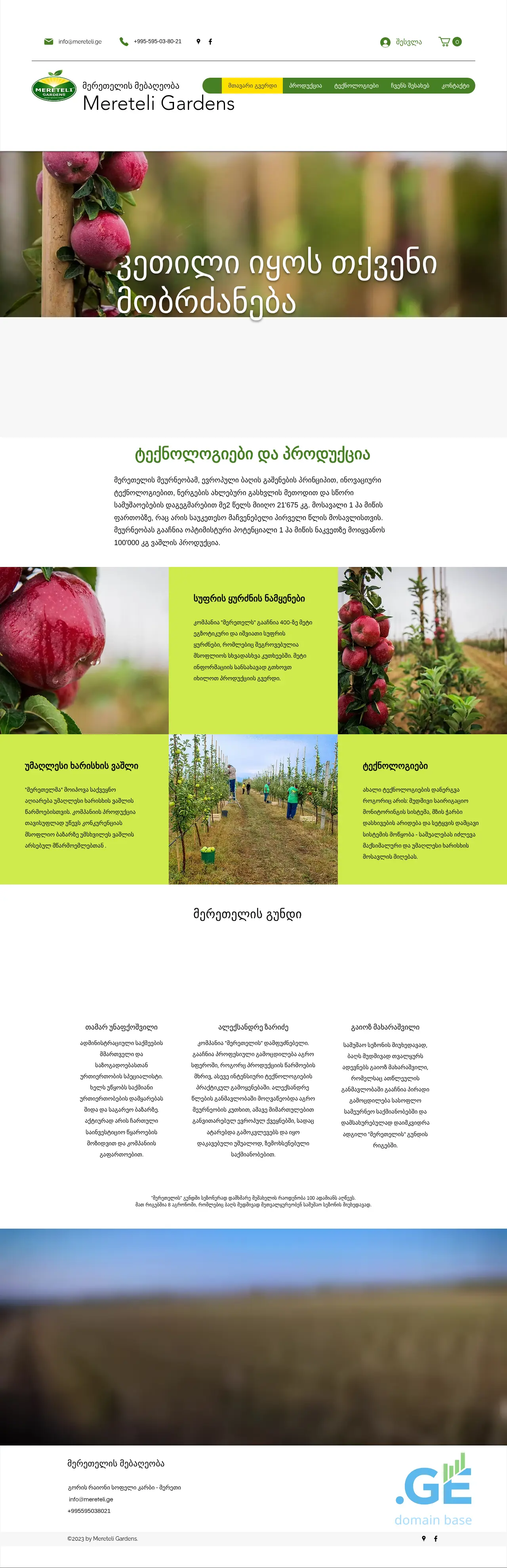 Screenshot of the site mereteli.ge