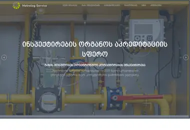 Скриншот metrologservice.ge