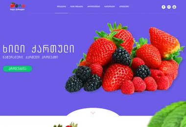 Screenshot of mocvi.ge