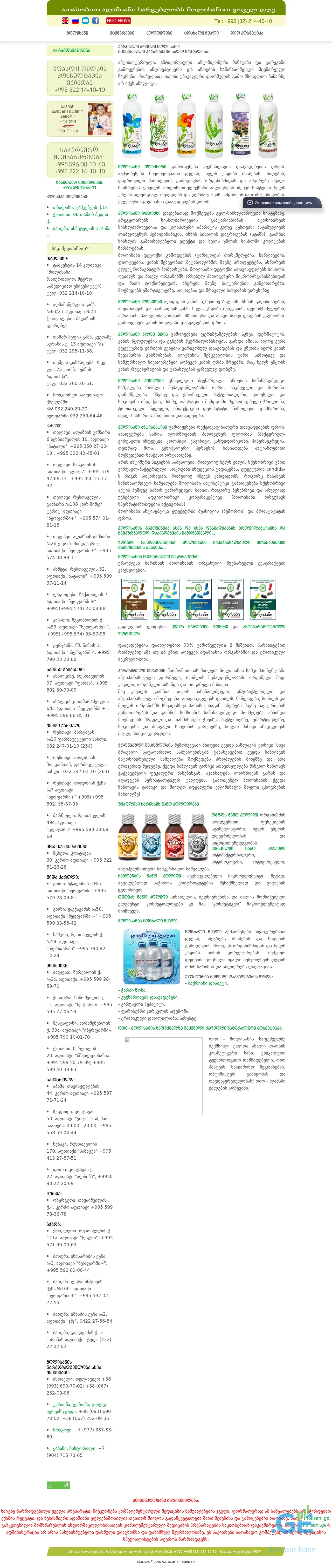 Screenshot of the site molisan.ge