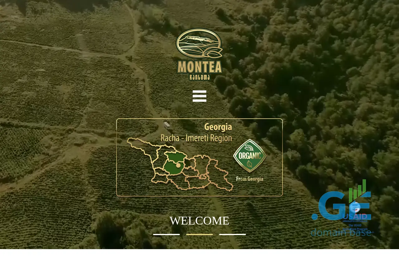 Screenshot of the site montea.ge