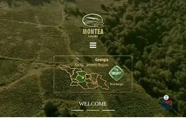 Скриншот montea.ge