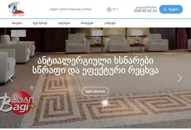 Screenshot of mrtidy.ge
