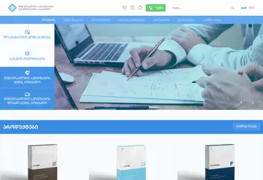 Screenshot of msda.ge
