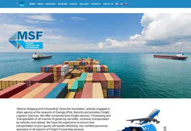 Screenshot of msf.ge