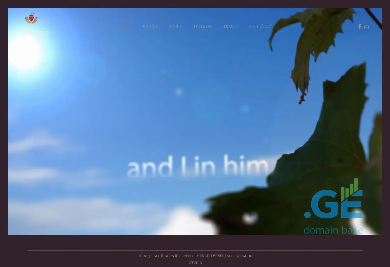 Screenshot of the site mukadowines.ge