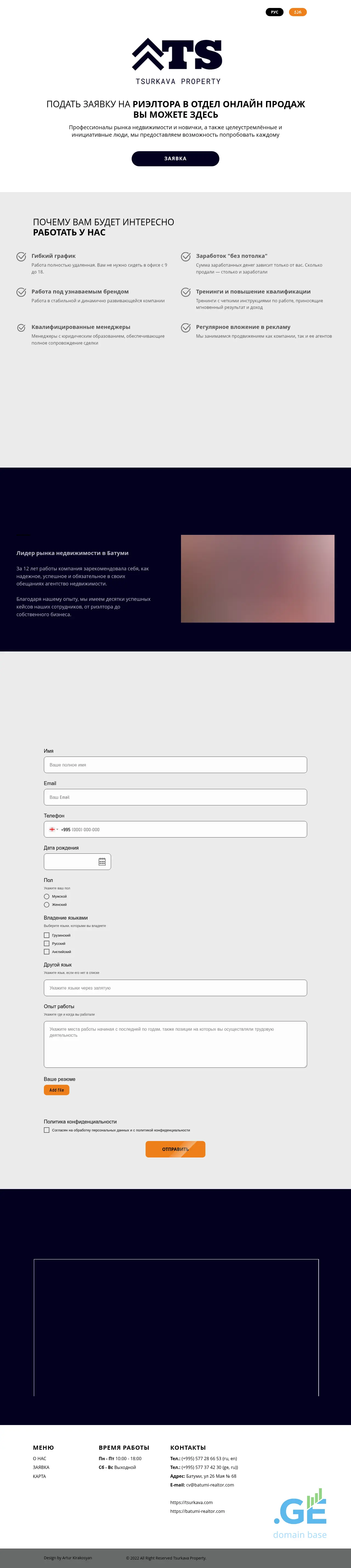 Screenshot of the site myvacancy.ge