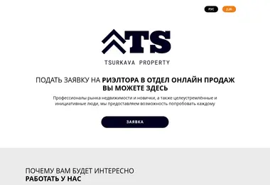 myvacancy.ge-ის ეკრანის სურათი