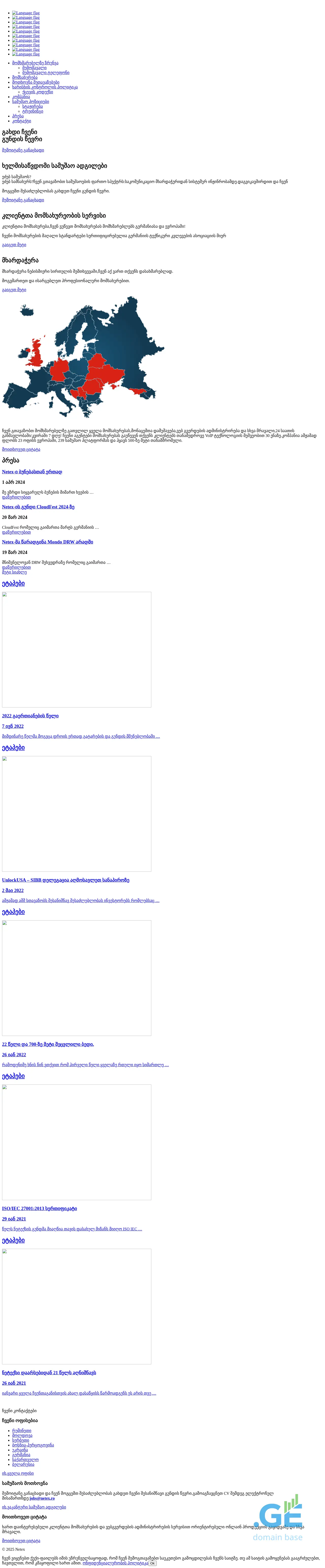 Screenshot of the site netex.ge