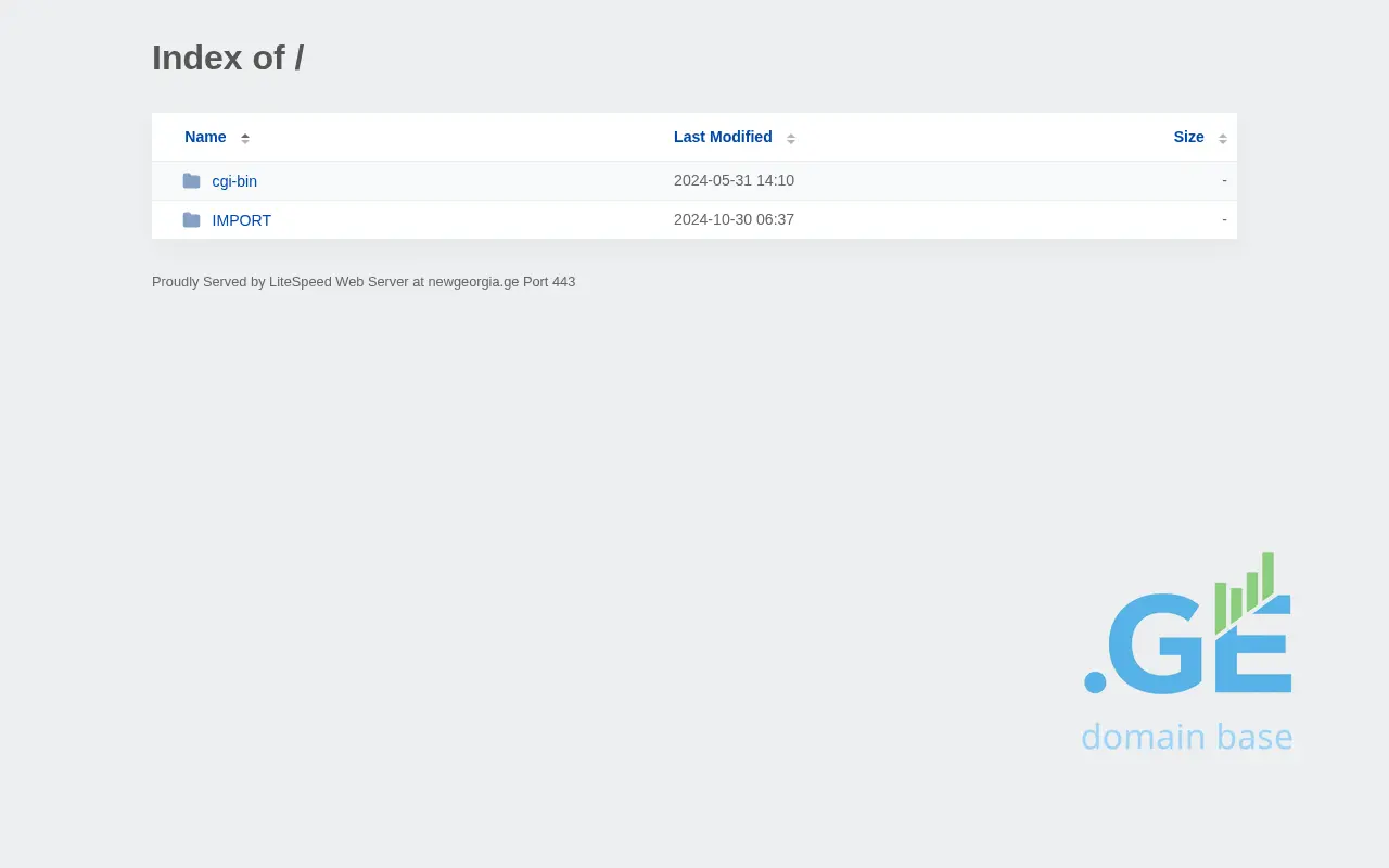 Screenshot of the site newgeorgia.ge