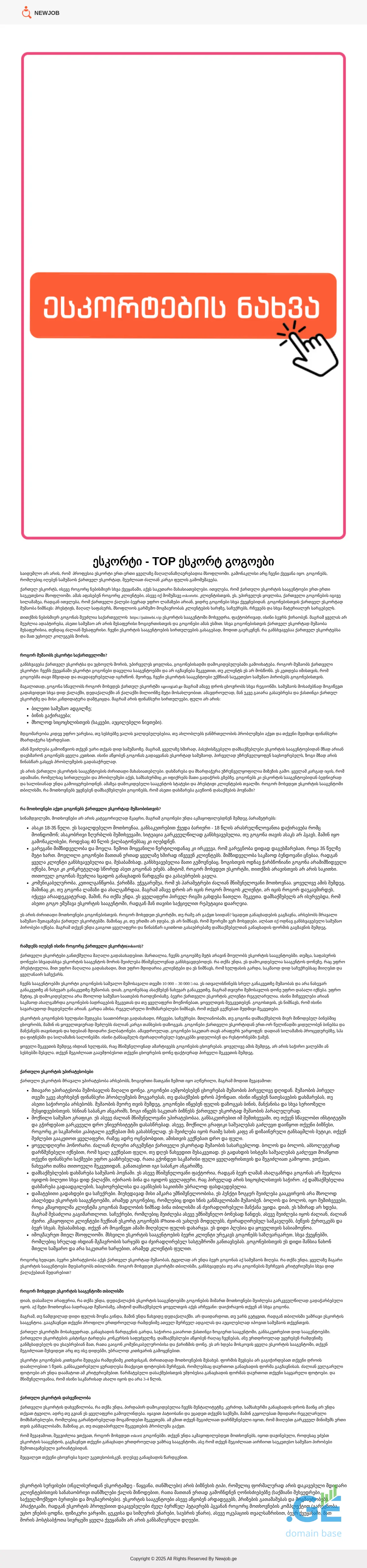Screenshot of the site newjob.ge