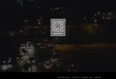 Screenshot of ngs.ge