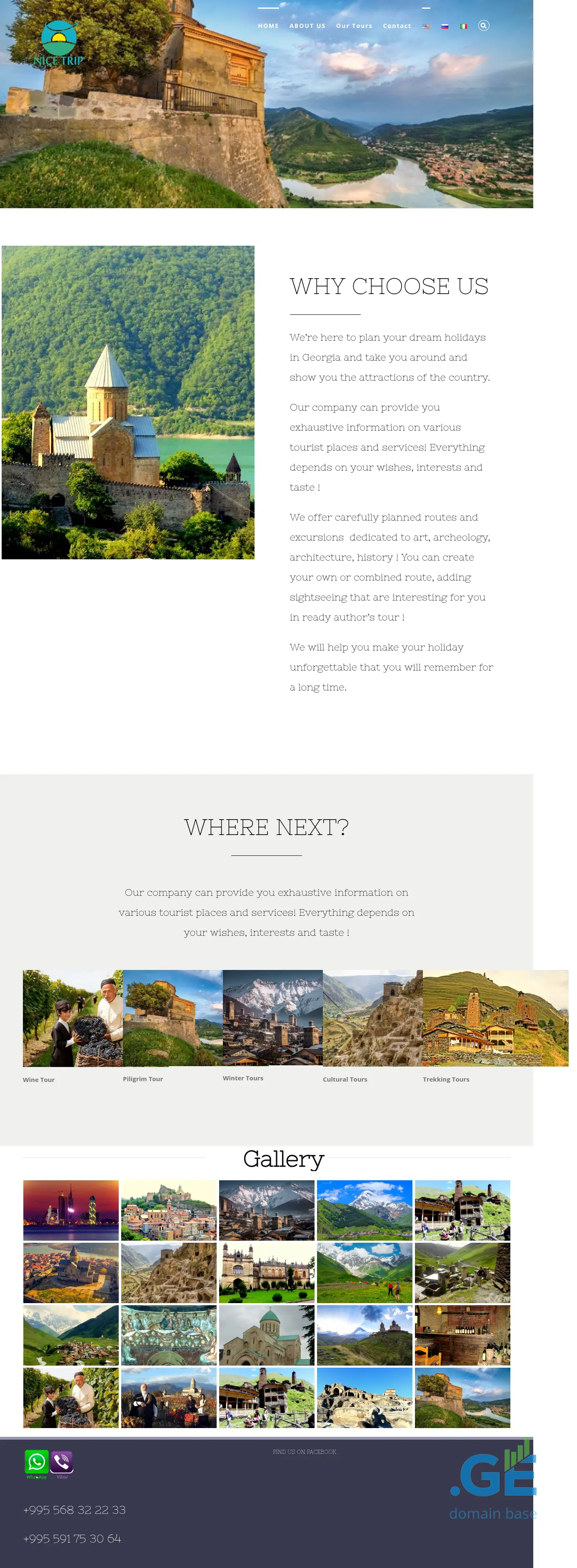 Screenshot of the site nicetrip.ge