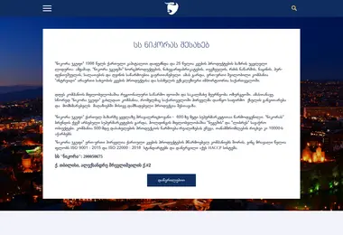 Screenshot of nikoraholding.ge