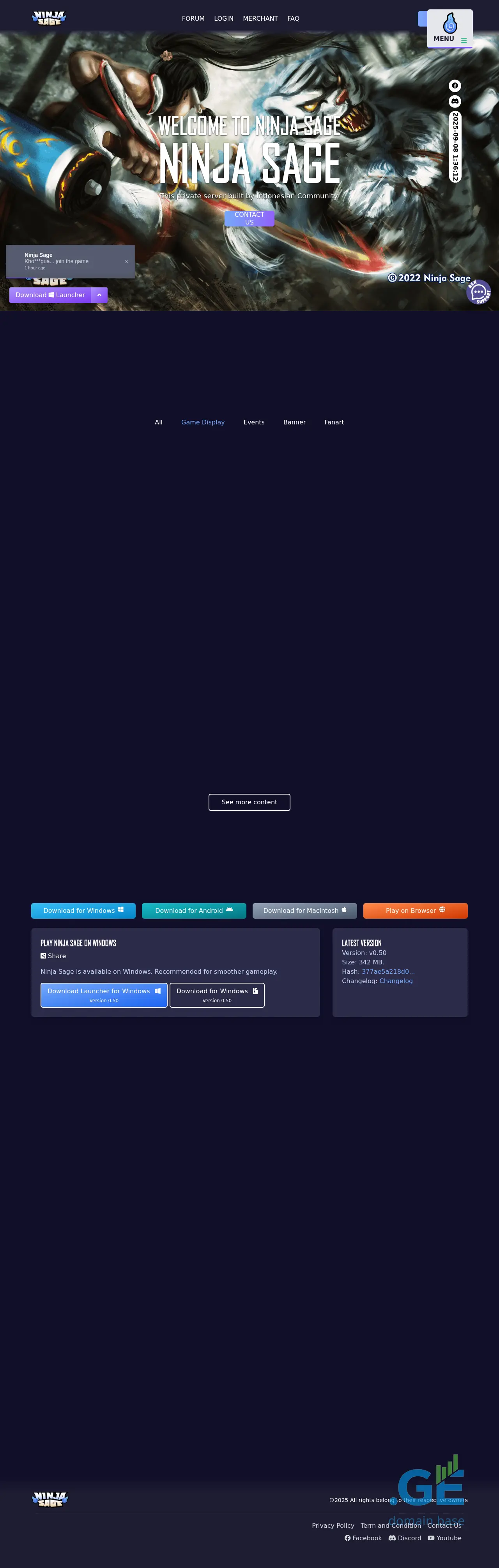 Screenshot of the site nsa.ge