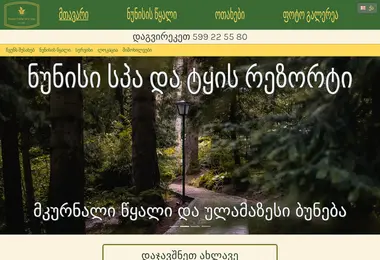 Screenshot of nunisi.ge