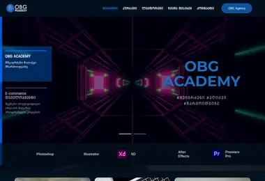 obgacademy.ge-ის ეკრანის სურათი