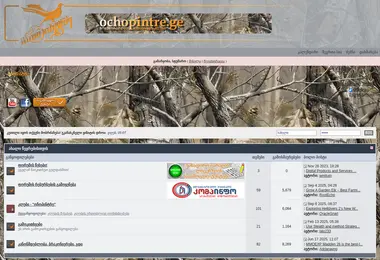 Скриншот ochopintre.ge