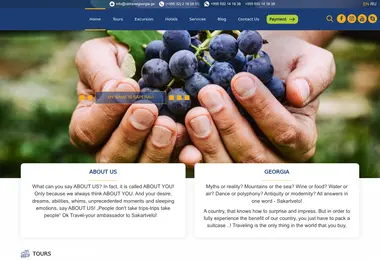 Screenshot of oktravelgeorgia.ge