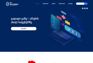 Screenshot of olacademy.ge