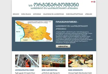 Screenshot of orgenergomsheni.ge