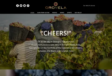 Скриншот orovela.ge