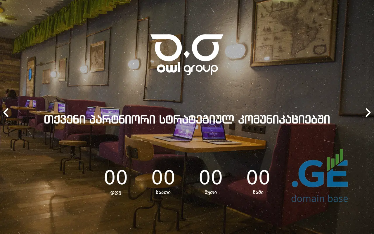 Screenshot of the site owlgroup.ge