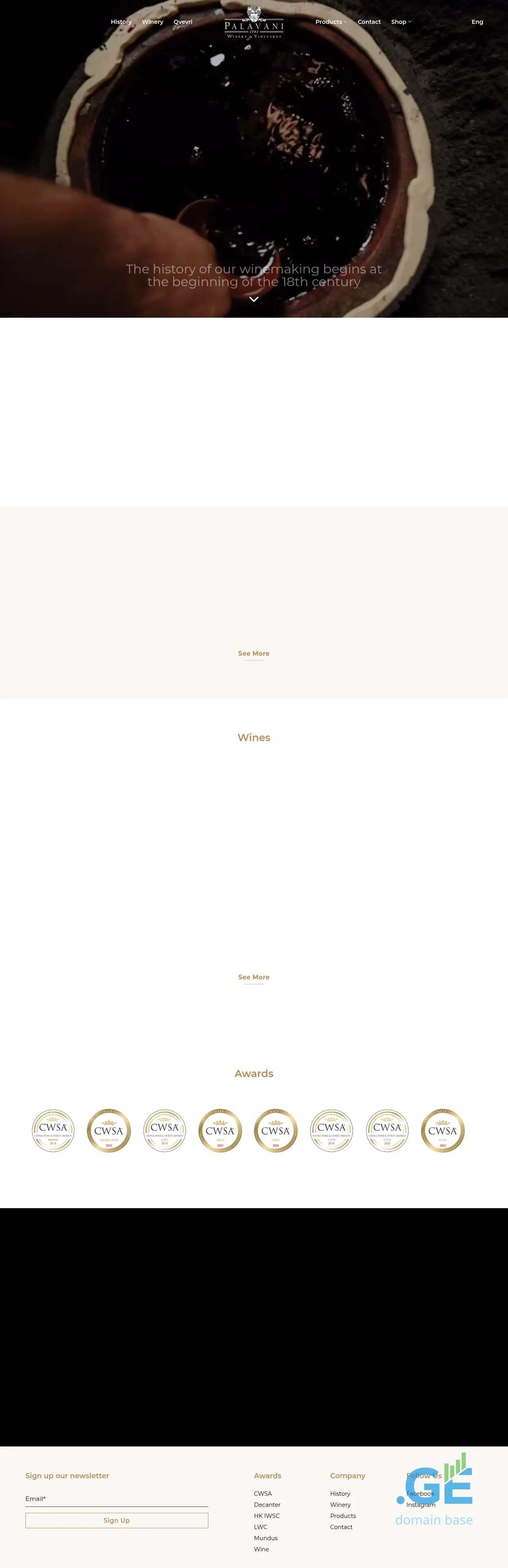 Screenshot of the site palavani.ge