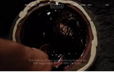 Screenshot of palavani.ge