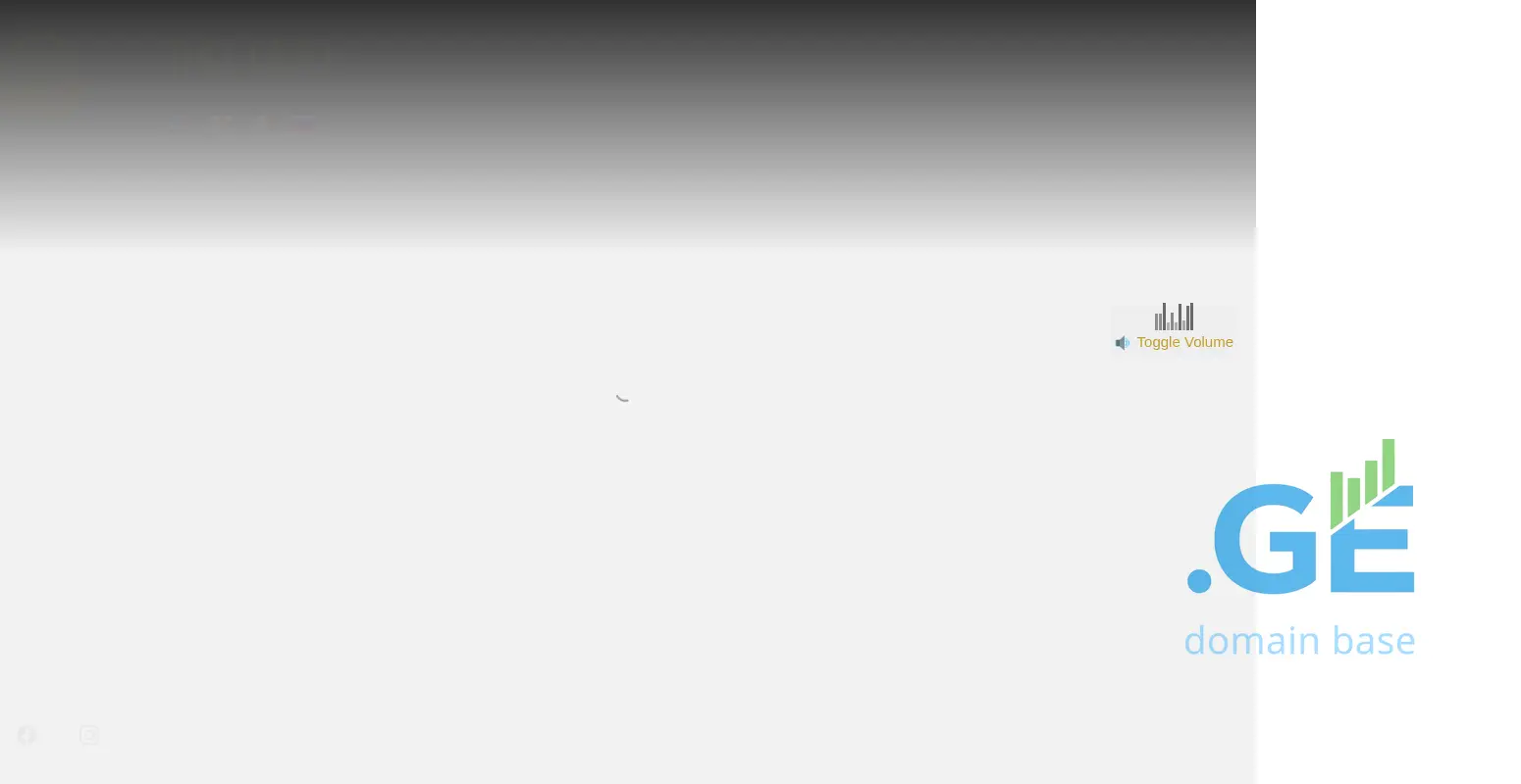 Screenshot of the site paliani.ge