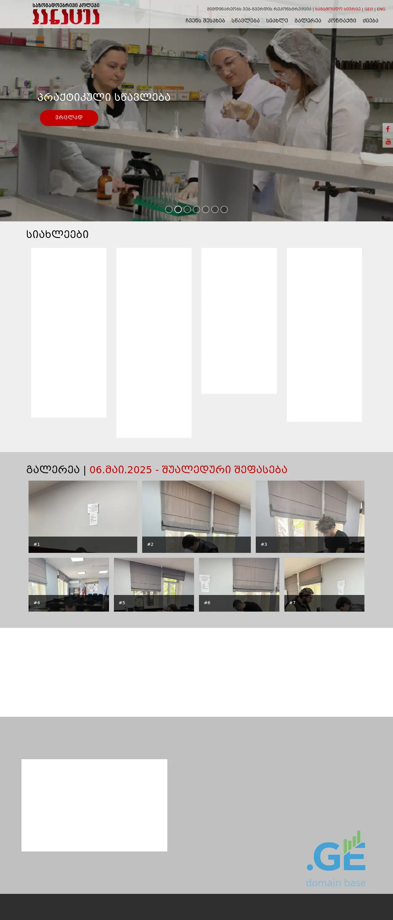 Screenshot of the site panacea.edu.ge