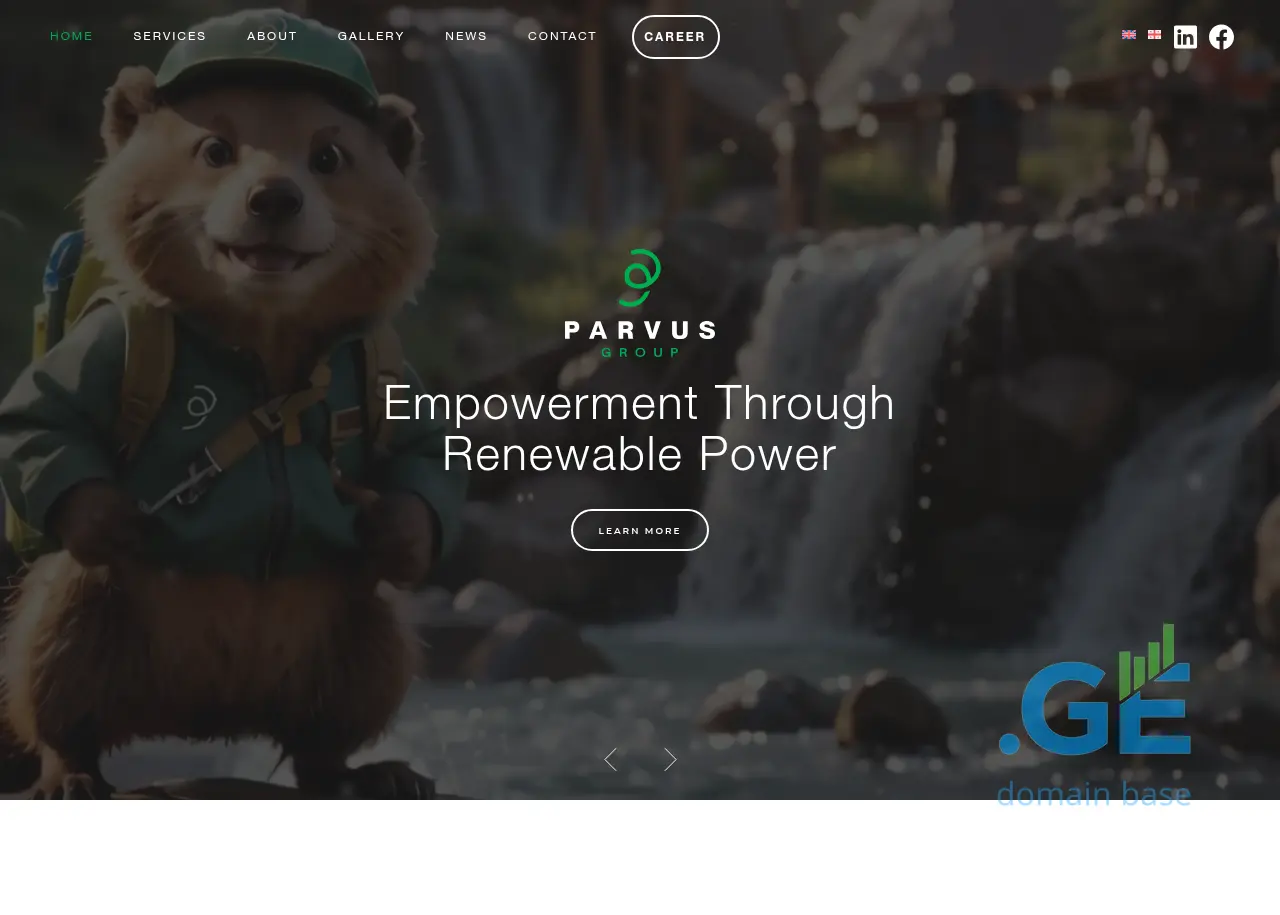 Screenshot of the site parvusgroup.ge