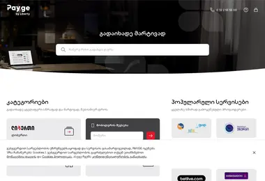 Screenshot of pay.ge