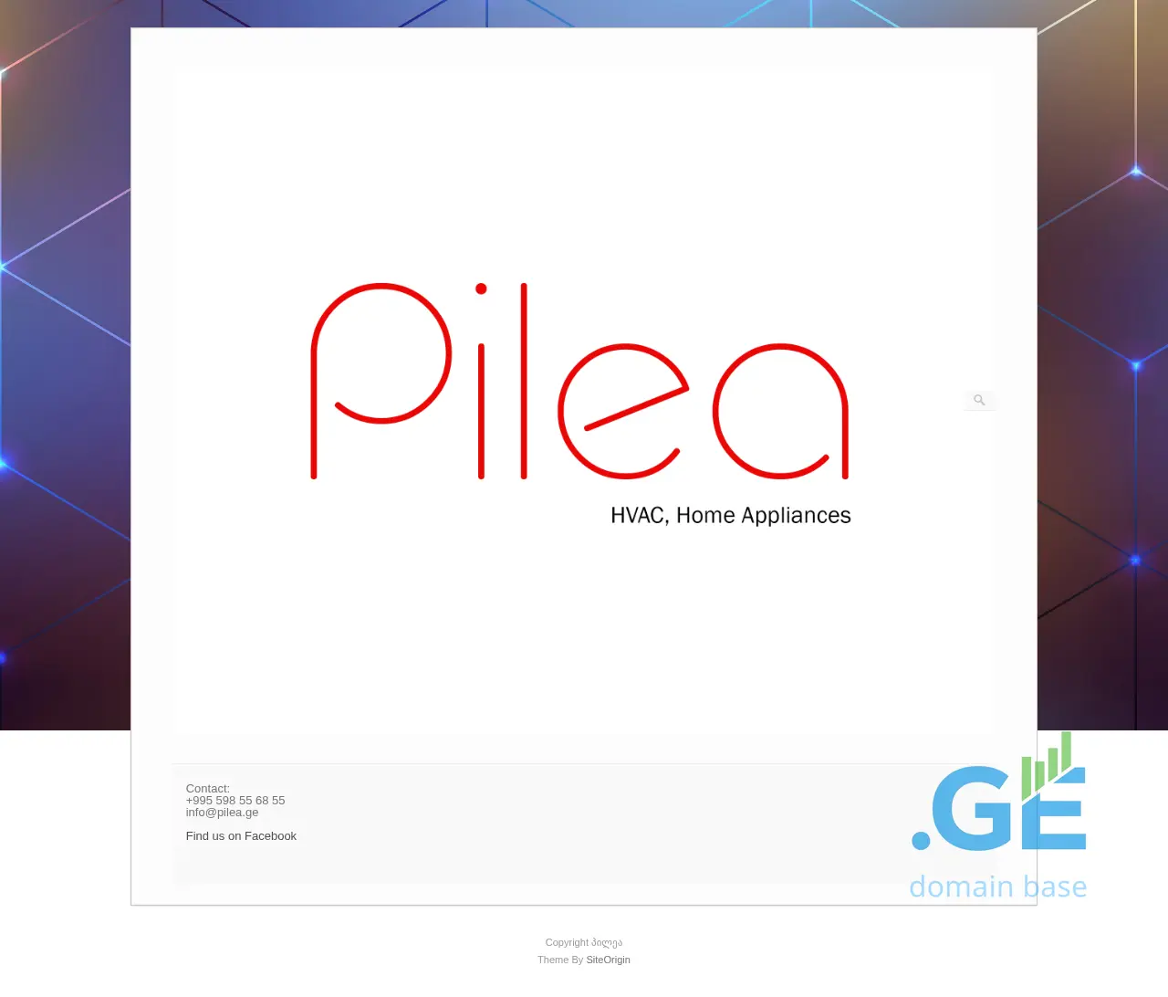 Screenshot of the site pilea.ge